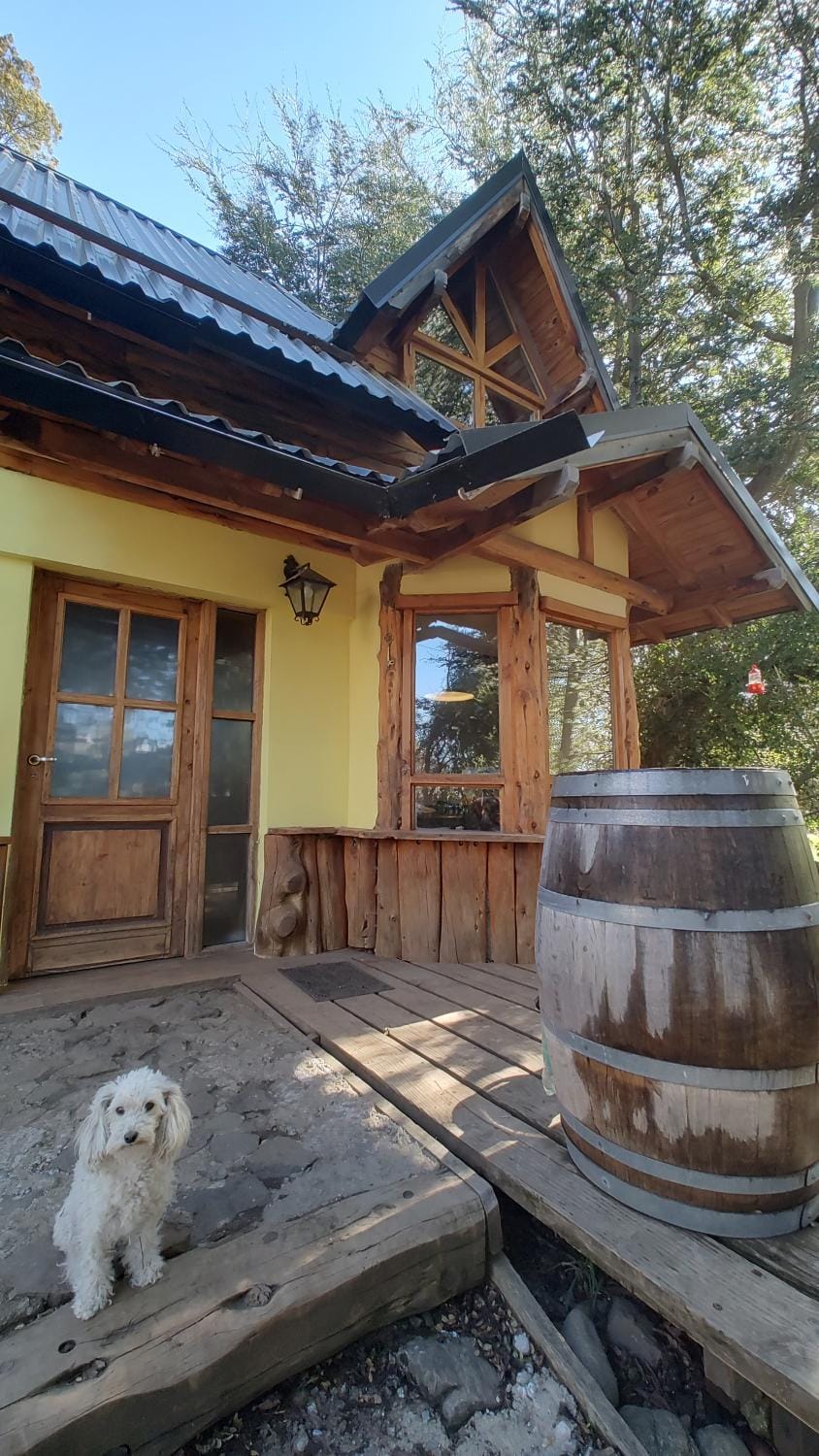 Property building, Day, Pets