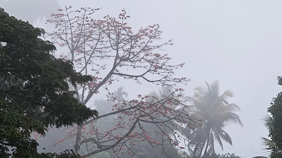 Kandy home Vacation rental in Kandy