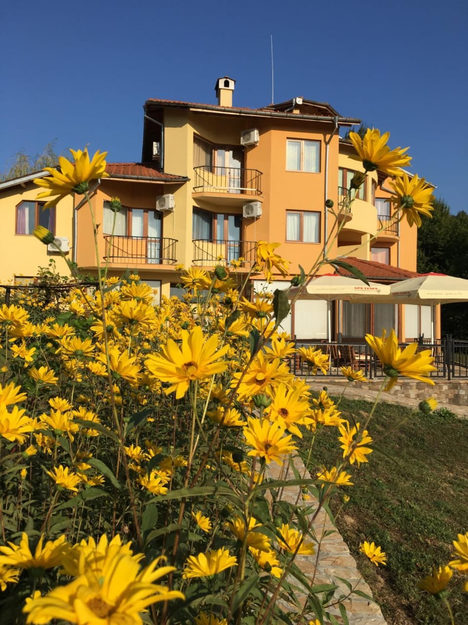 Property building, Spring