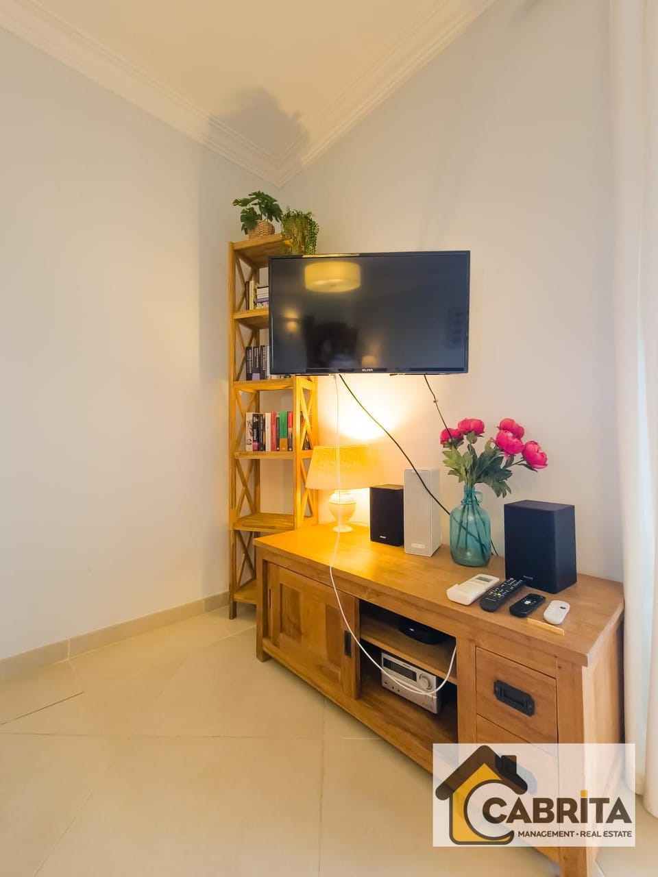 TV and multimedia