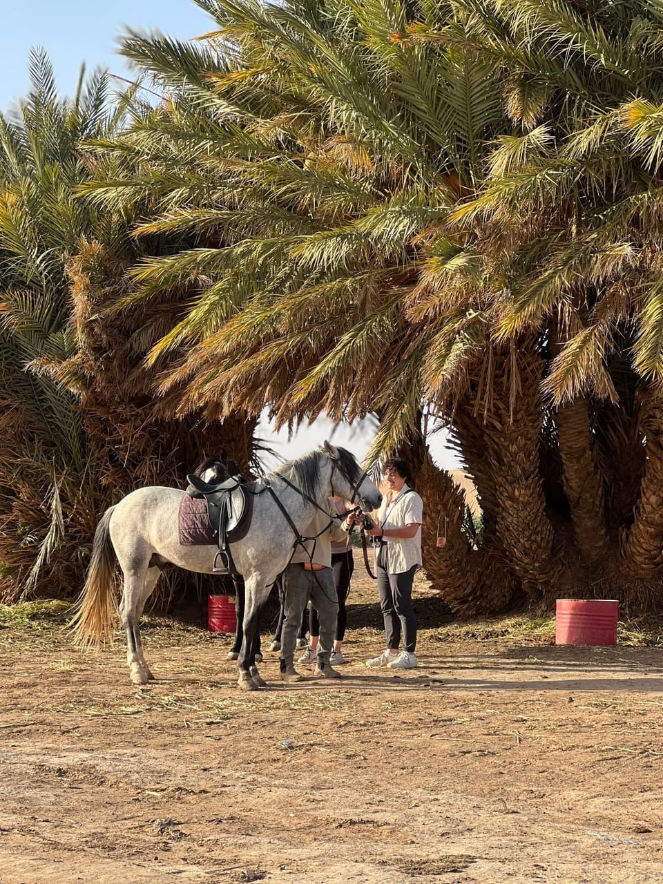 Ksar Merzouga Camp Luxury tent in Morocco