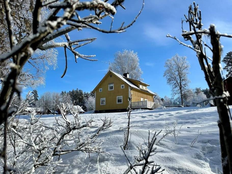 Property building, Winter