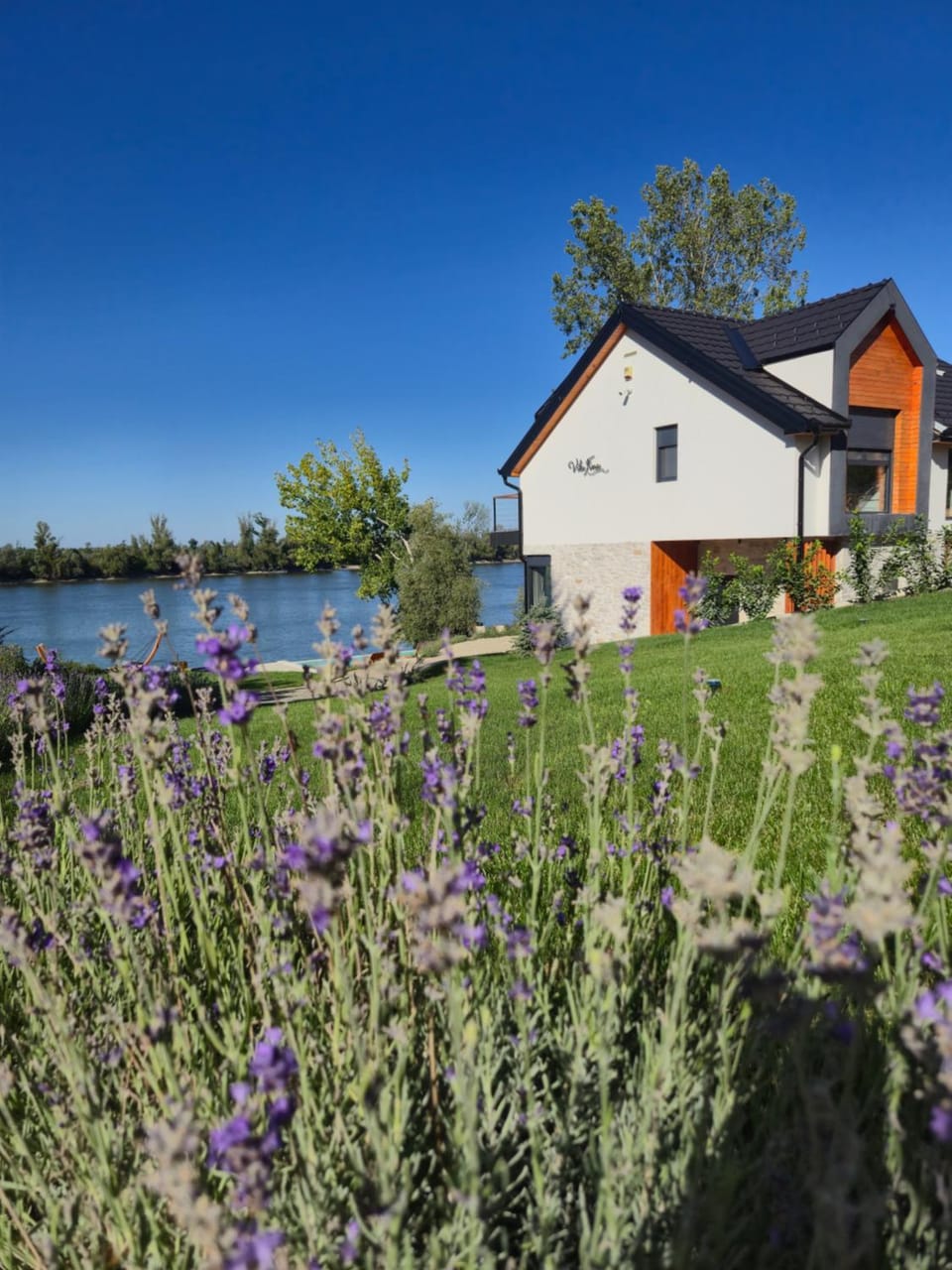 Vila Fina Villa in Novi Sad