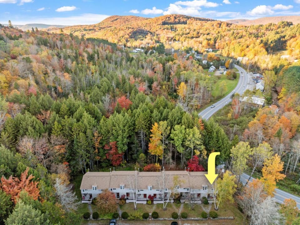 Neighbourhood, Natural landscape, Bird's eye view