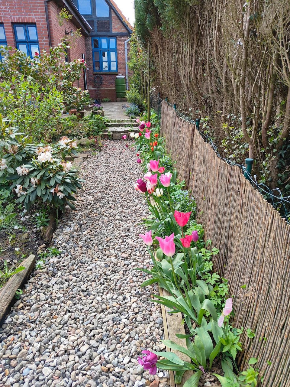 Garden view