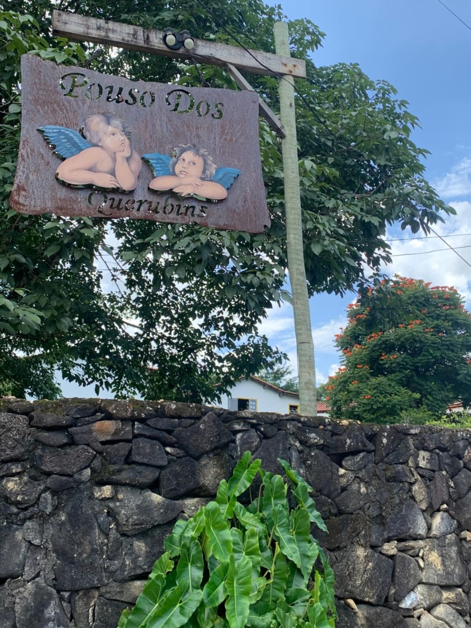 Logo/Certificate/Sign