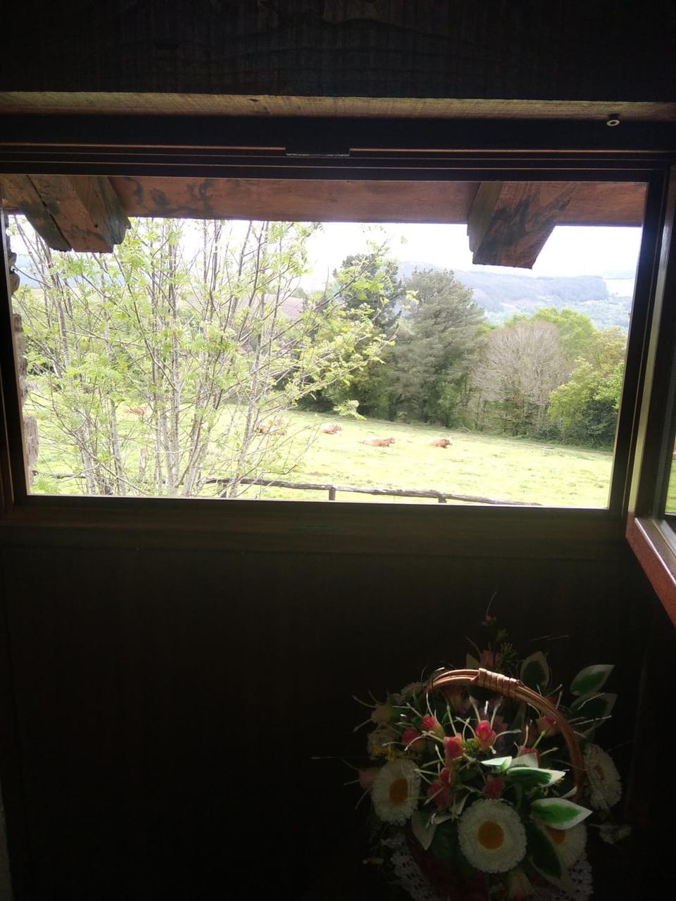 La Posada de Oscos Apartment in Asturias