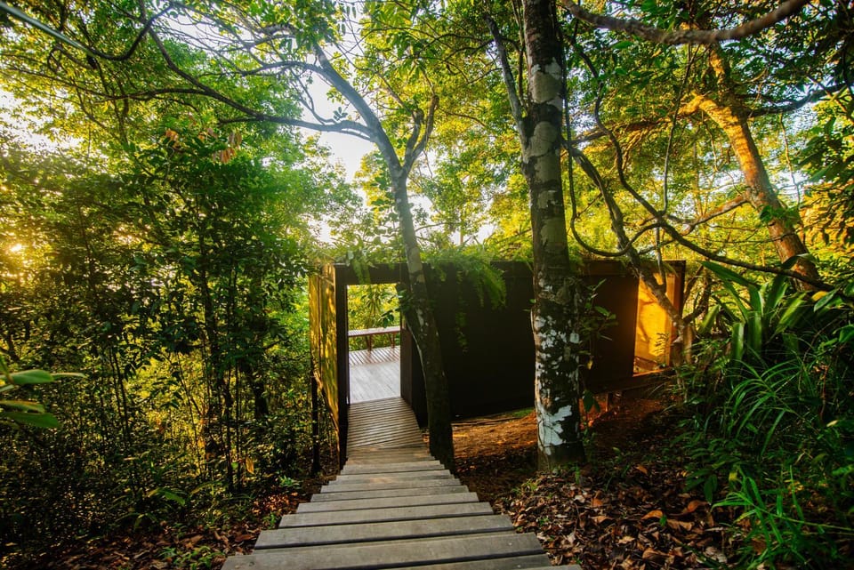 Natural landscape, Garden view, acessibility