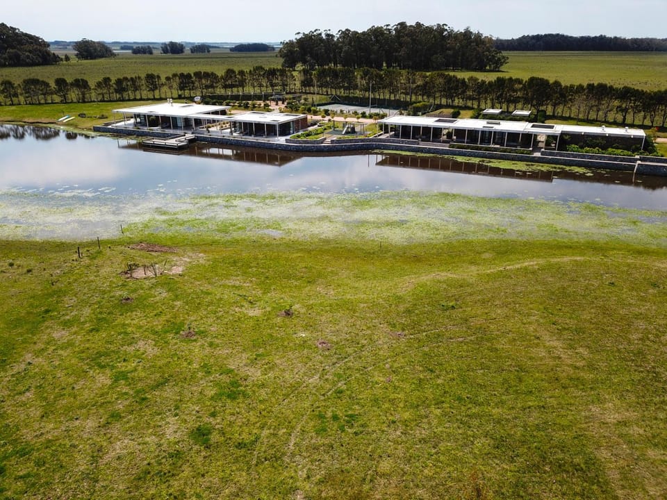 Bird's eye view, Lake view