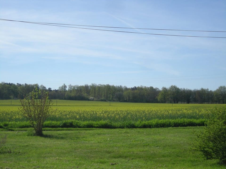 Fermette restaurée proche Châteaux de la Loire avec Wi-Fi et parking sécurisé - FR-1-591-640 House in Centre-Val de Loire