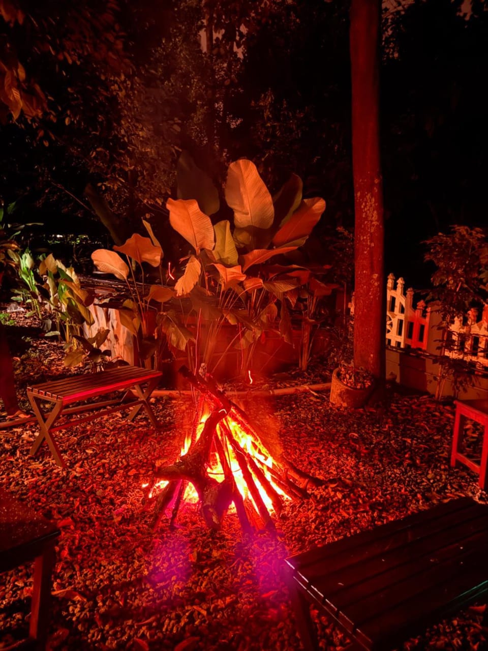 Luxury Villa Ps5 Home-Theater Hookah 30km 2 Munnar Villa in Kerala