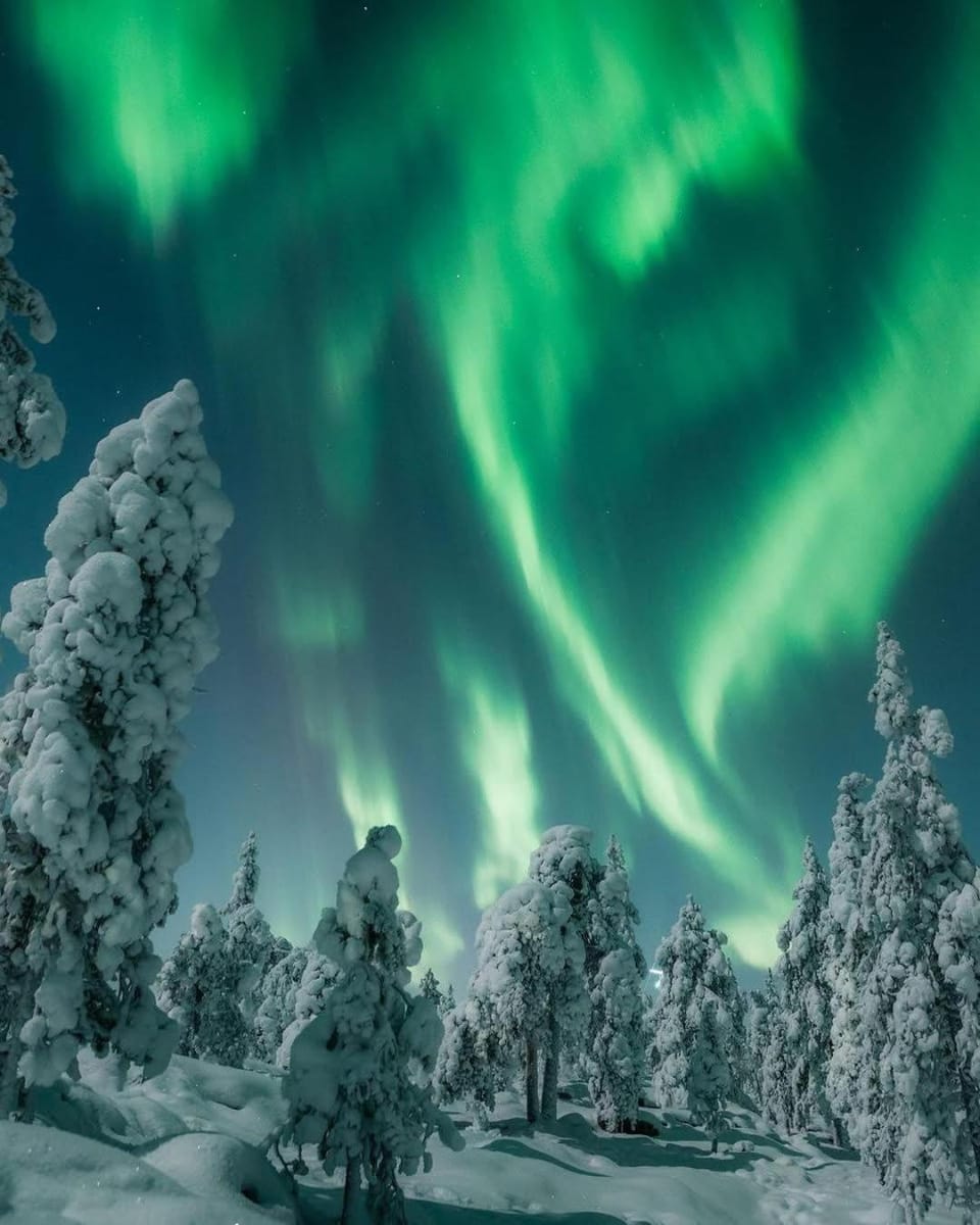 Natural landscape, Winter