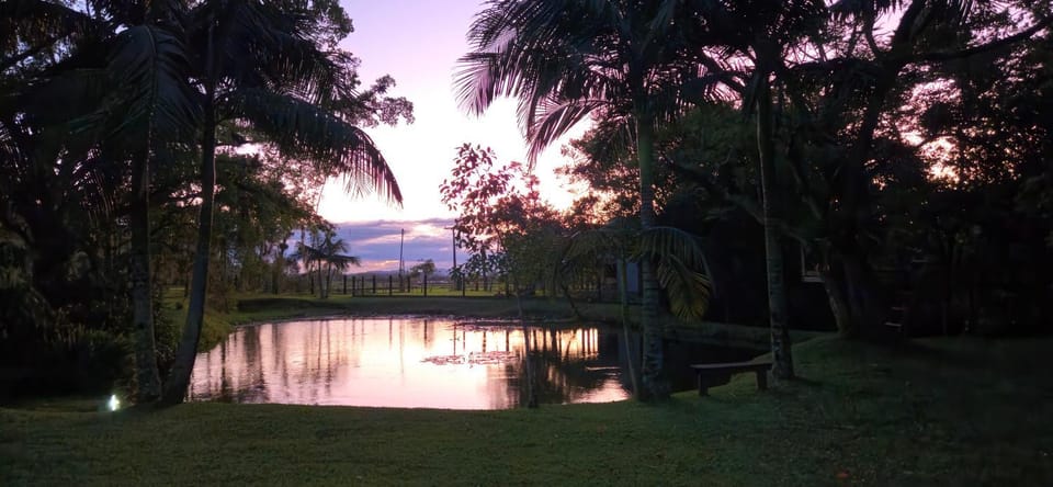 Lake view