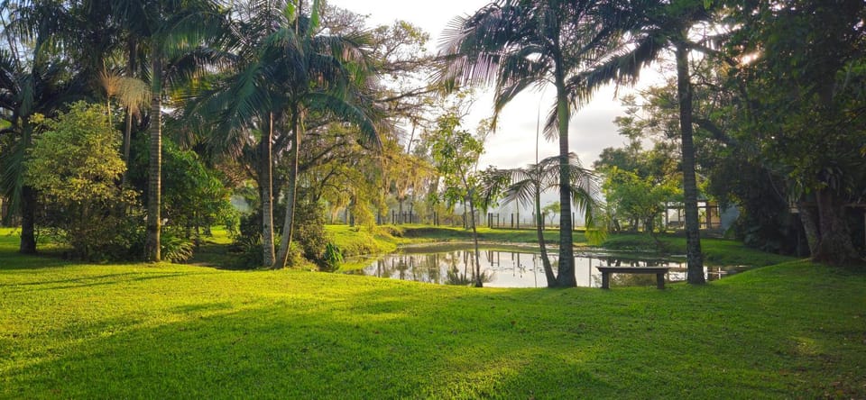 Lake view