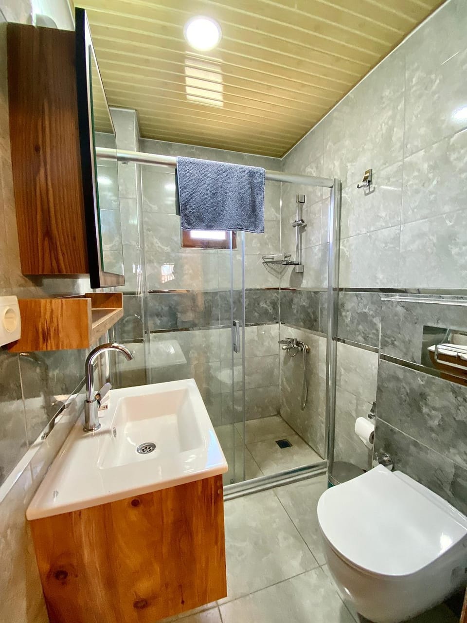 Shower, Toilet, Bathroom, towels