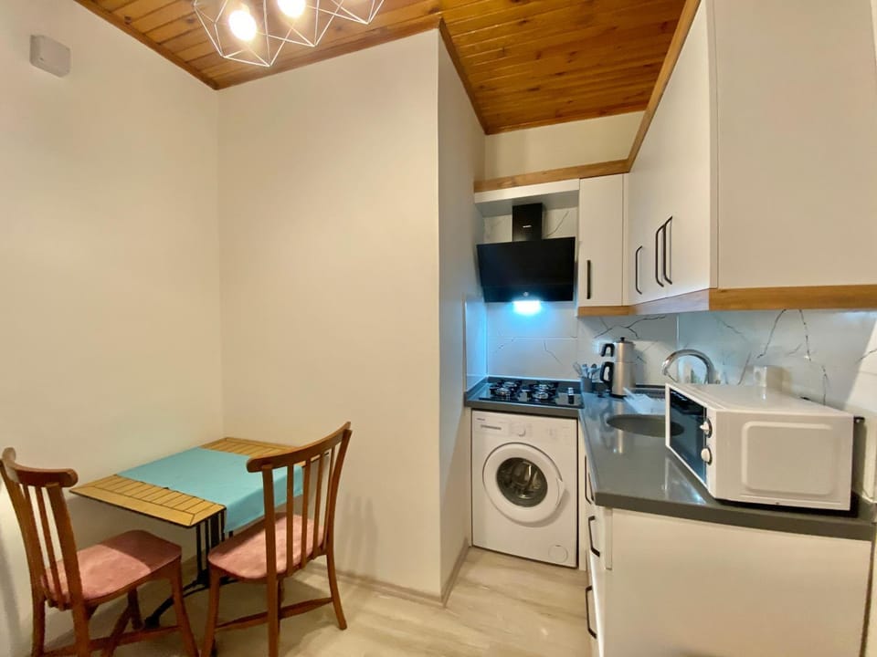Kitchen or kitchenette, Dining area, oven, stove, washing machine