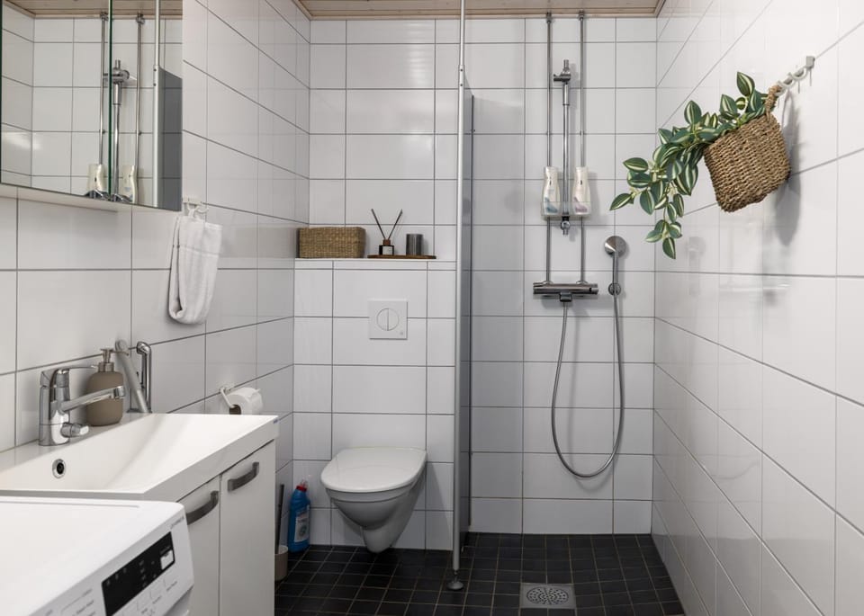 Shower, Toilet, Bathroom, bidet, washing machine