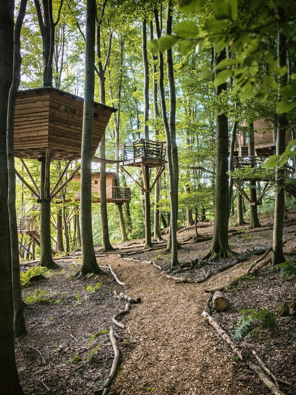 Baumhaushotel Robins Nest Hotel in Hesse