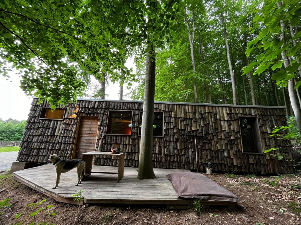 Baumhaushotel Robins Nest Hotel in Hesse