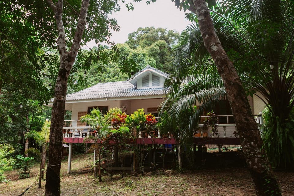 Garden, Garden view
