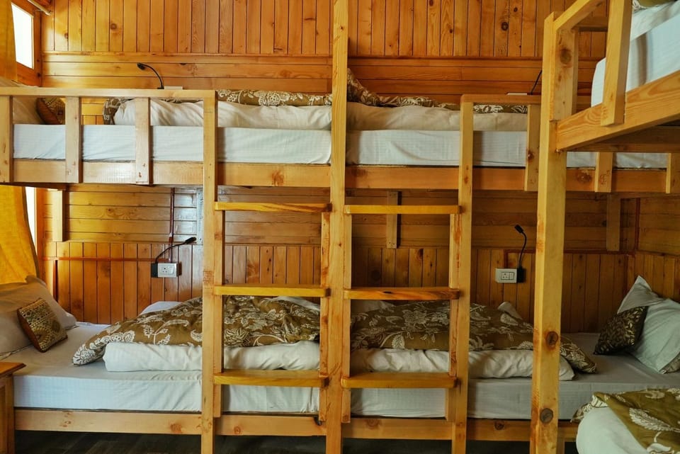 Bed, Photo of the whole room, Bedroom, bunk bed