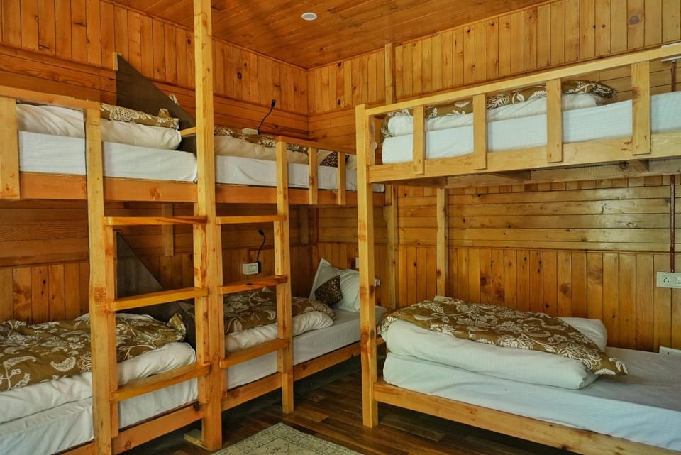 Bed, Photo of the whole room, Bedroom, bunk bed
