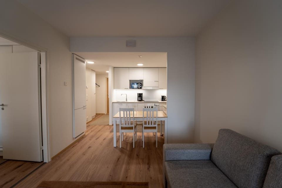 Kitchen or kitchenette, Living room, Seating area, Dining area, oven