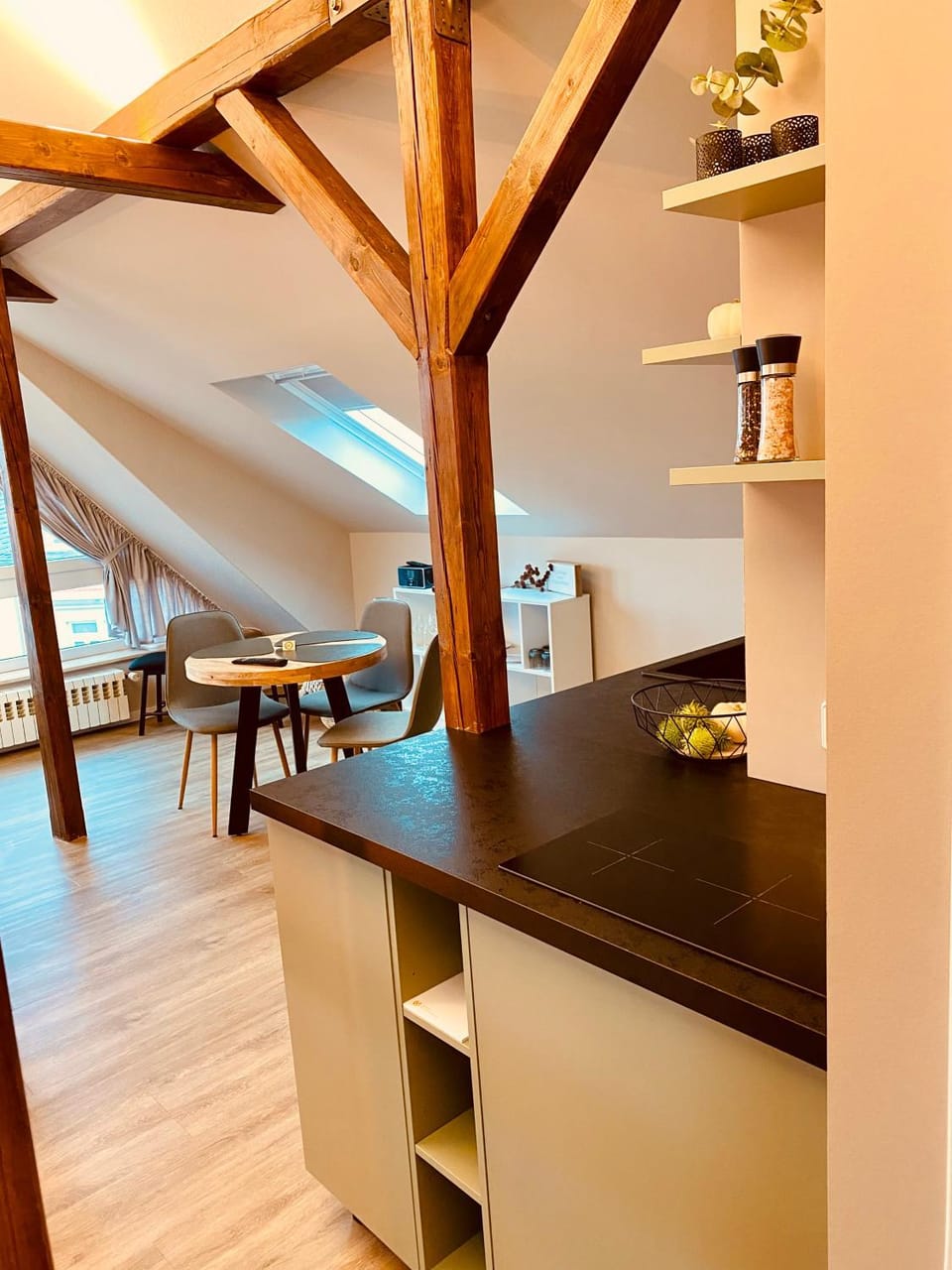 JohannesBlick Apartment in Dresden