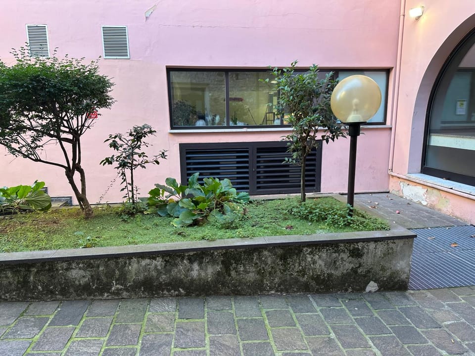 Property building, Garden view