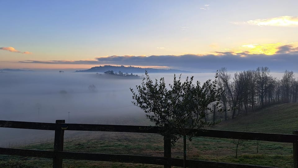 Natural landscape, Garden view