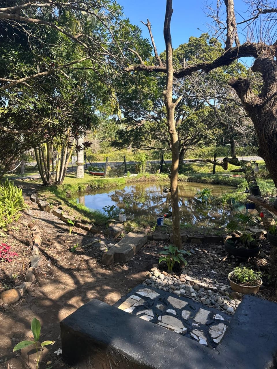 Natural landscape, Garden view