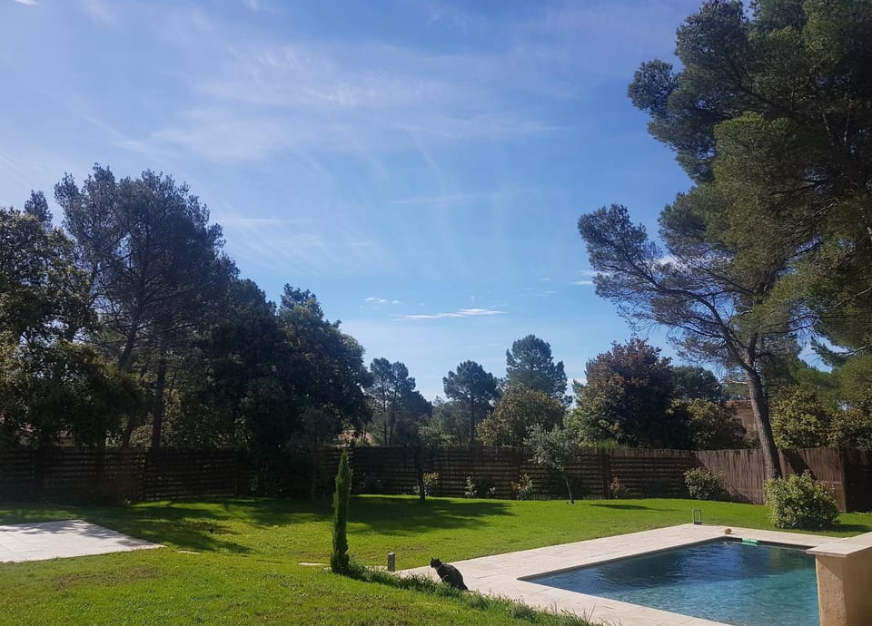 Garden, Garden view, Pool view, Swimming pool