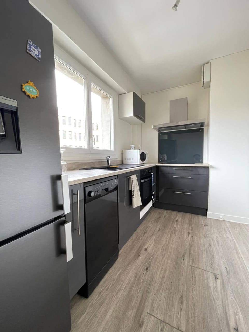 Kitchen or kitchenette, dishwasher, oven, stove