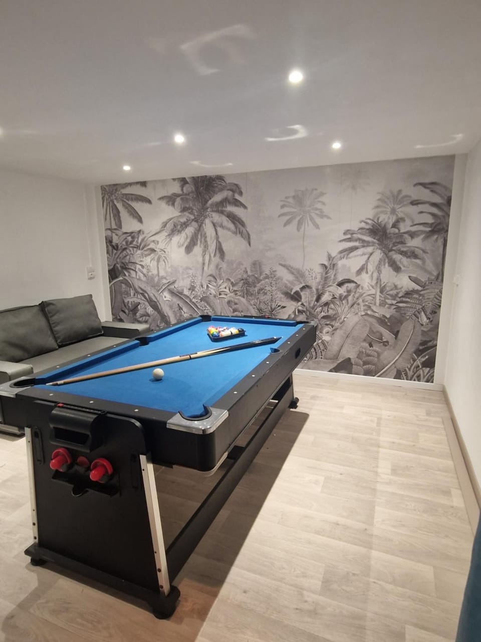 Billiard, Game Room