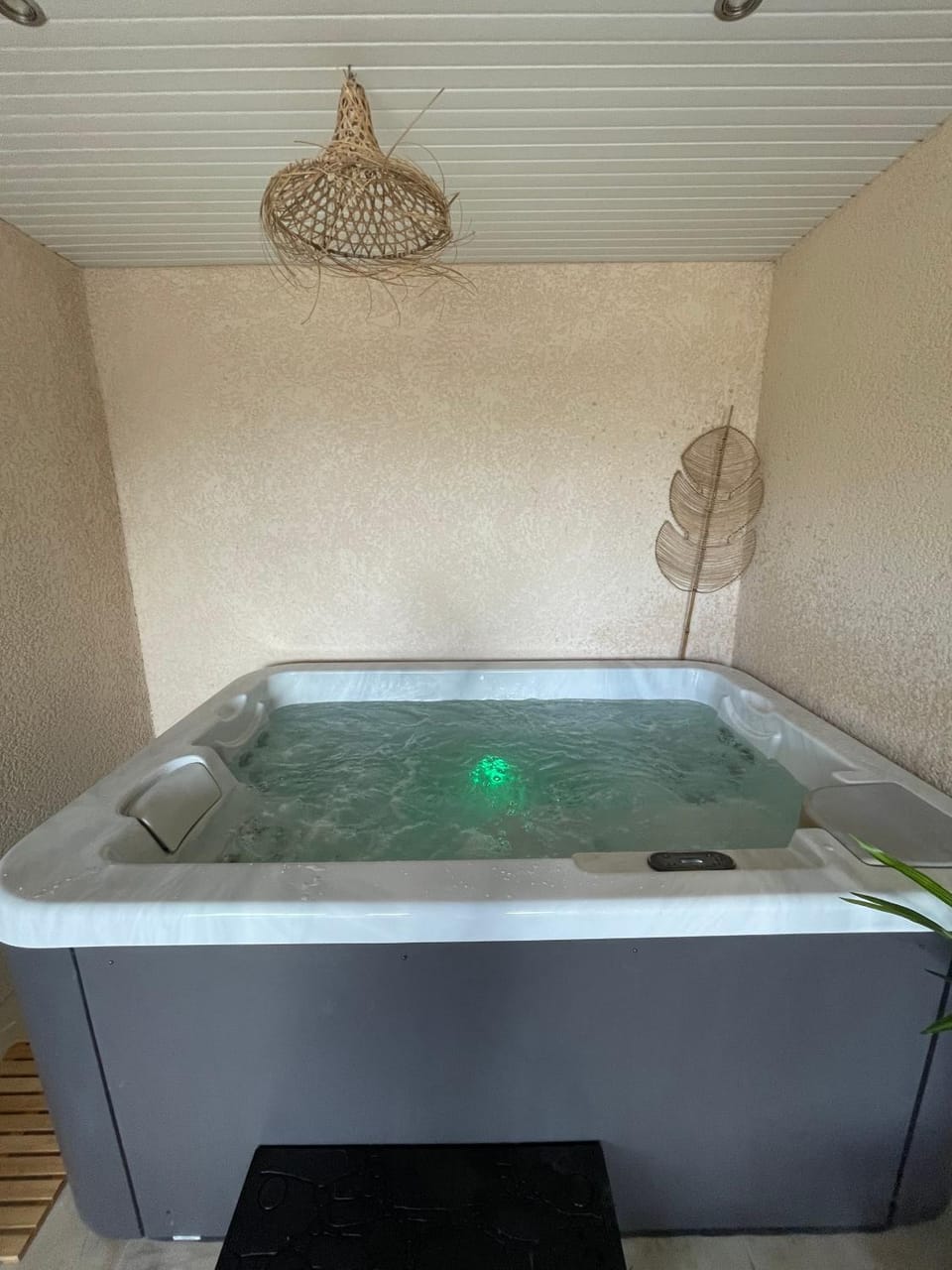 Bathroom, Living room