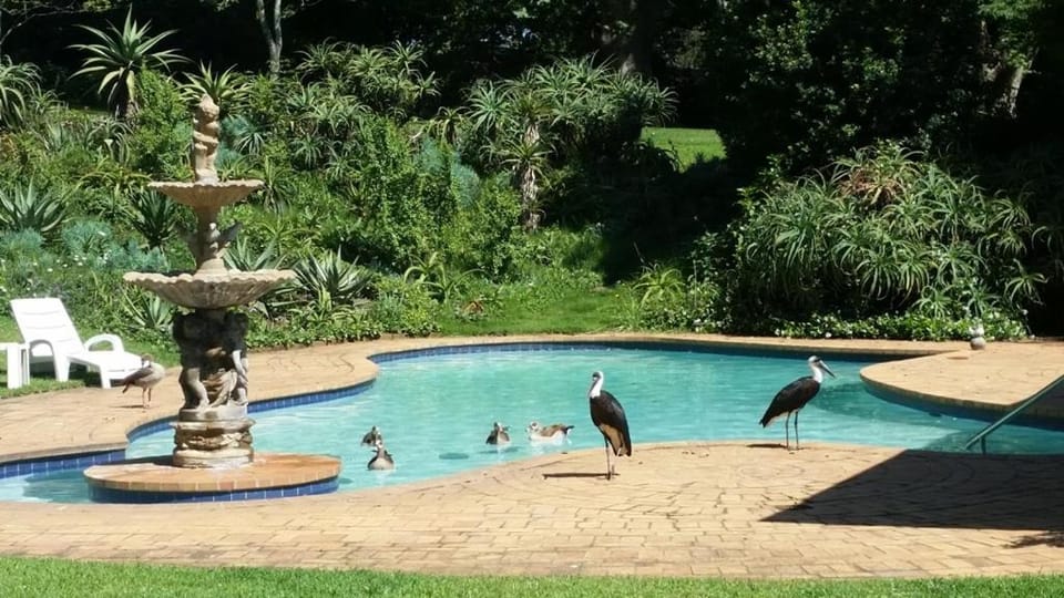 Day, Swimming pool, Swimming pool