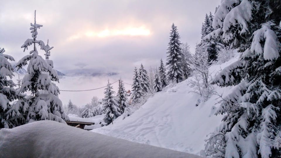 Natural landscape, Winter