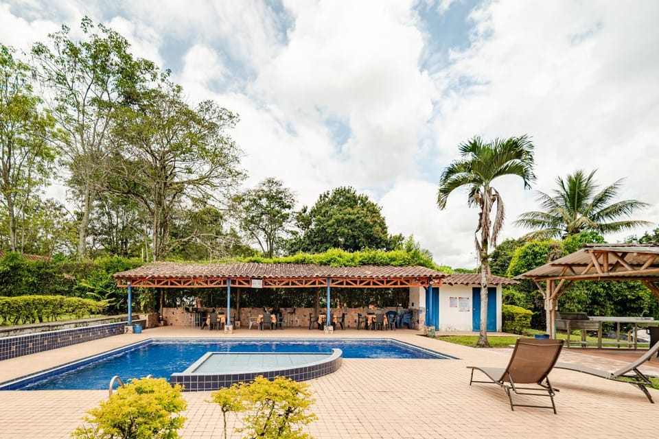 Property building, Patio, Day, Garden, Garden view, Pool view, Swimming pool, sunbed
