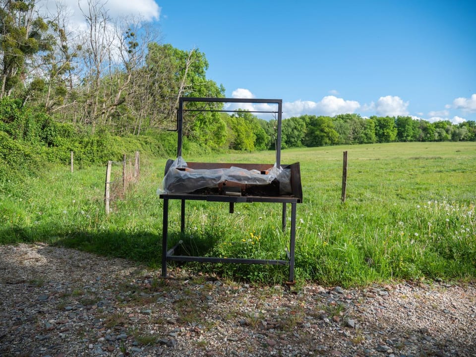 Spring, Day, Natural landscape
