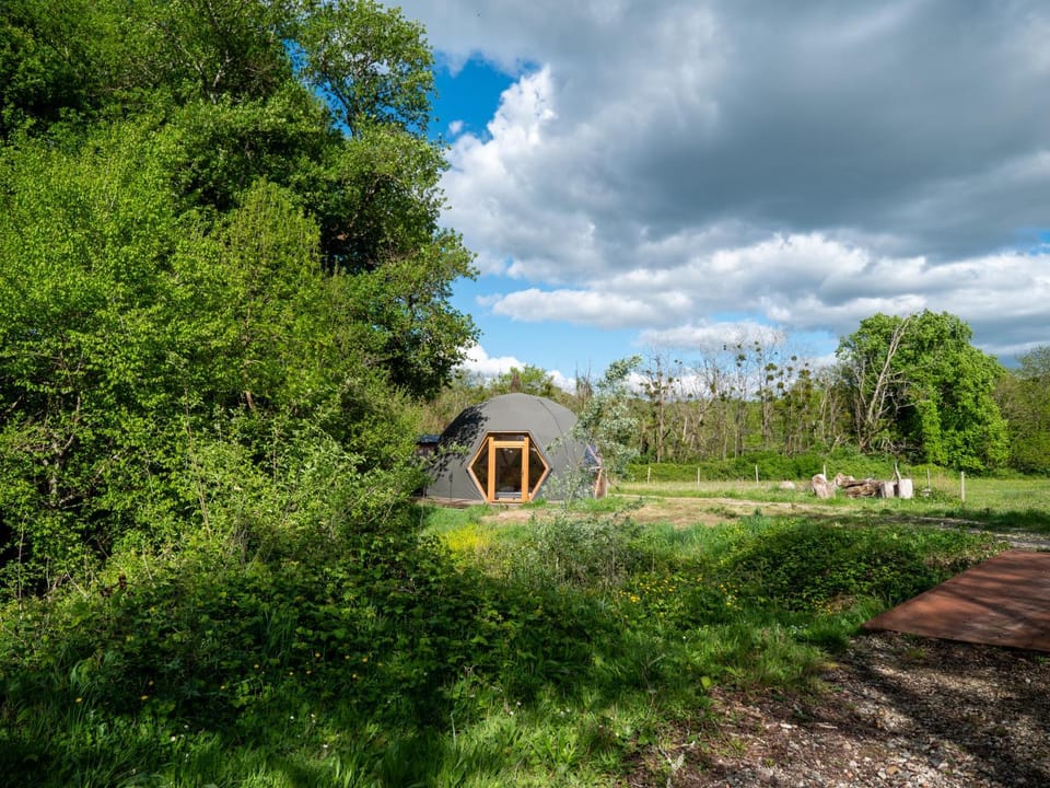 Spring, Day, Natural landscape, Garden, Garden view