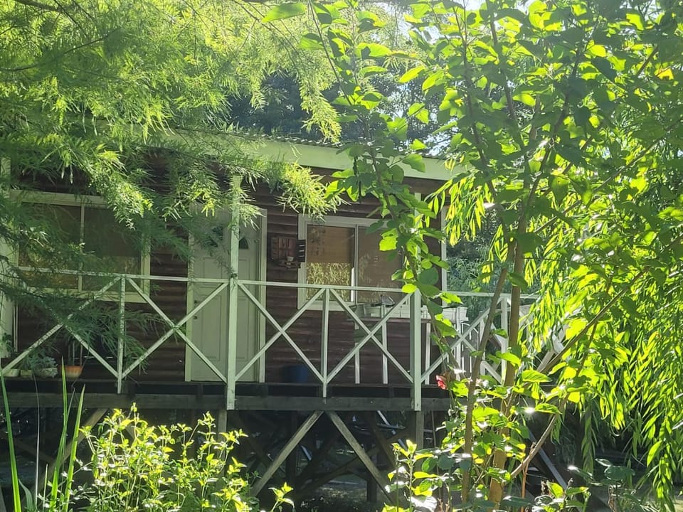 Cabaña bruji House in Uruguay