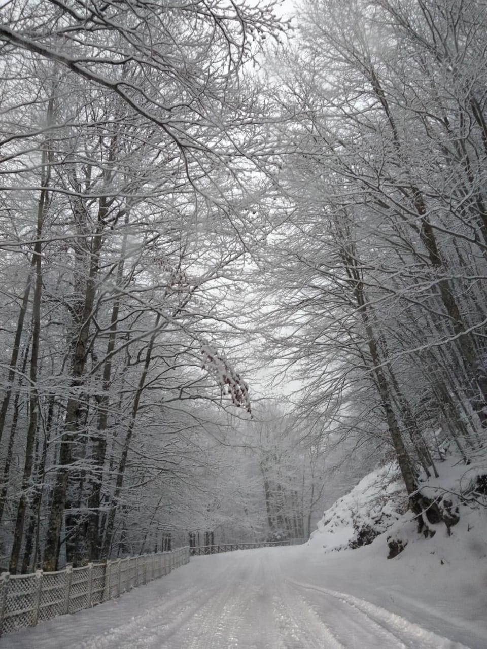 Natural landscape