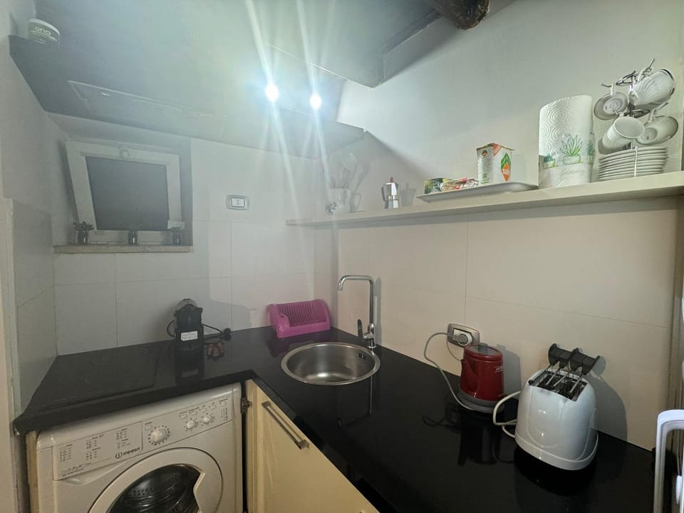 Coffee/tea facilities, Kitchen or kitchenette, stove, toaster, washing machine