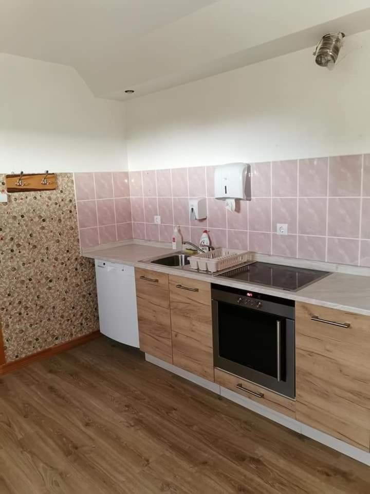 Kitchen or kitchenette, dishwasher, oven, stove
