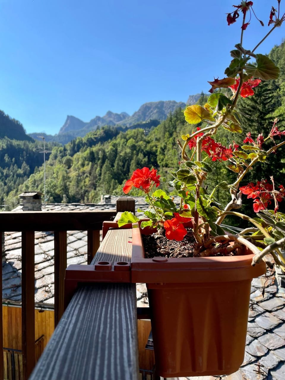 Abri Vigneroisa appartamento Miserin Apartment in Aosta Valley, Italy