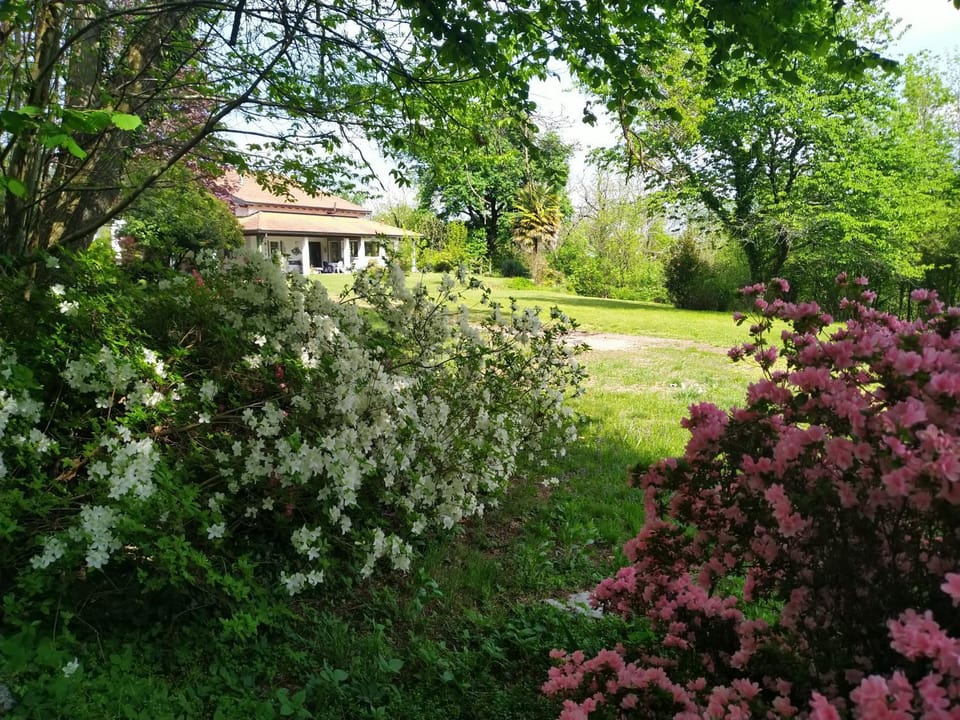 Property building, Garden, Garden view