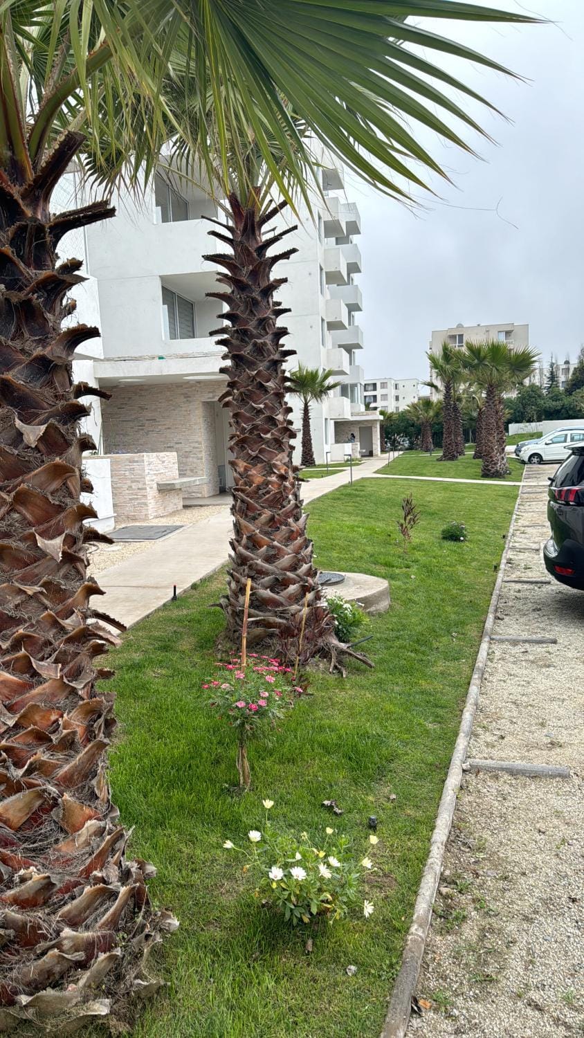 Natural landscape, Parking