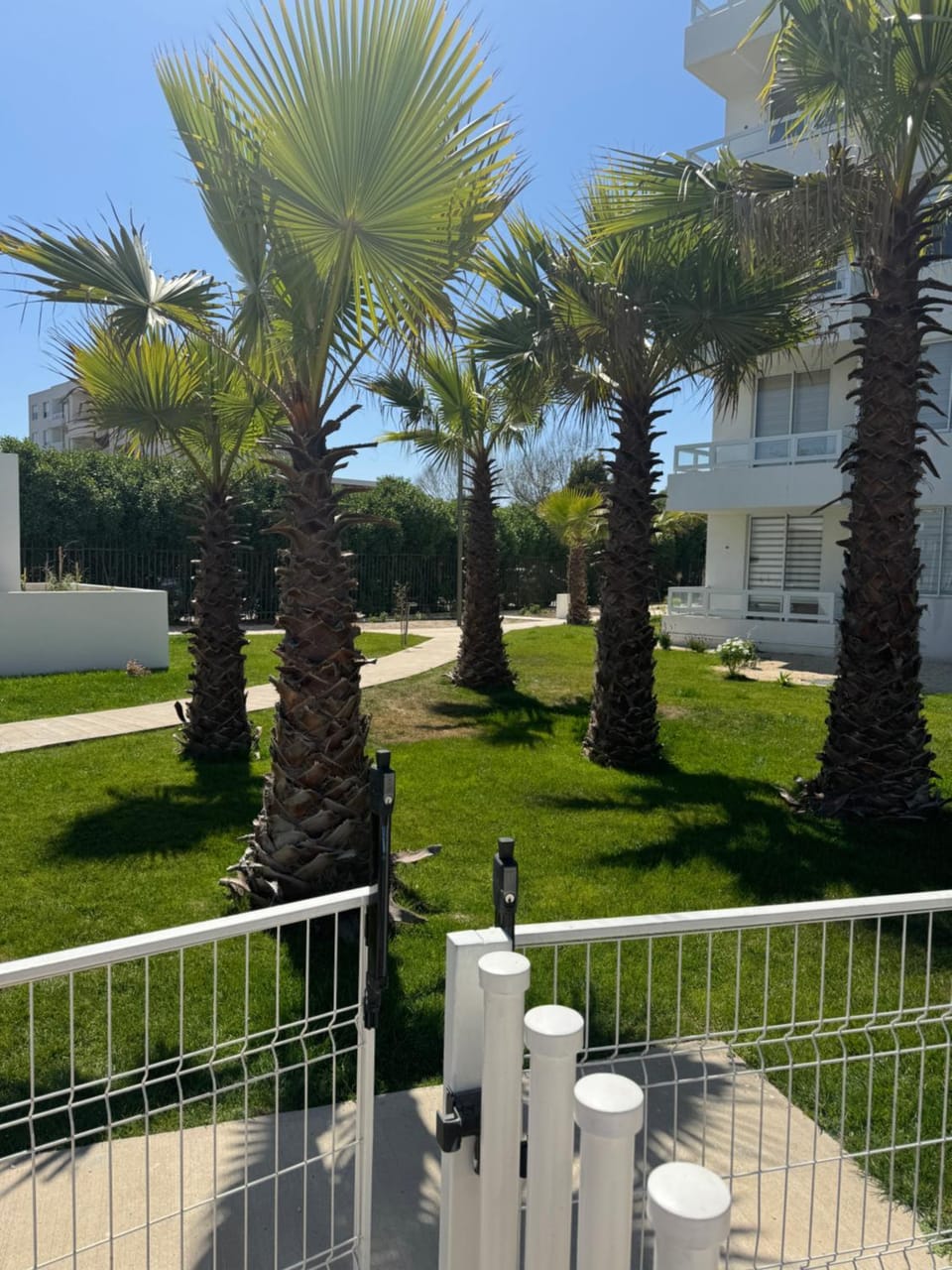 Property building, Natural landscape, Garden, Garden view