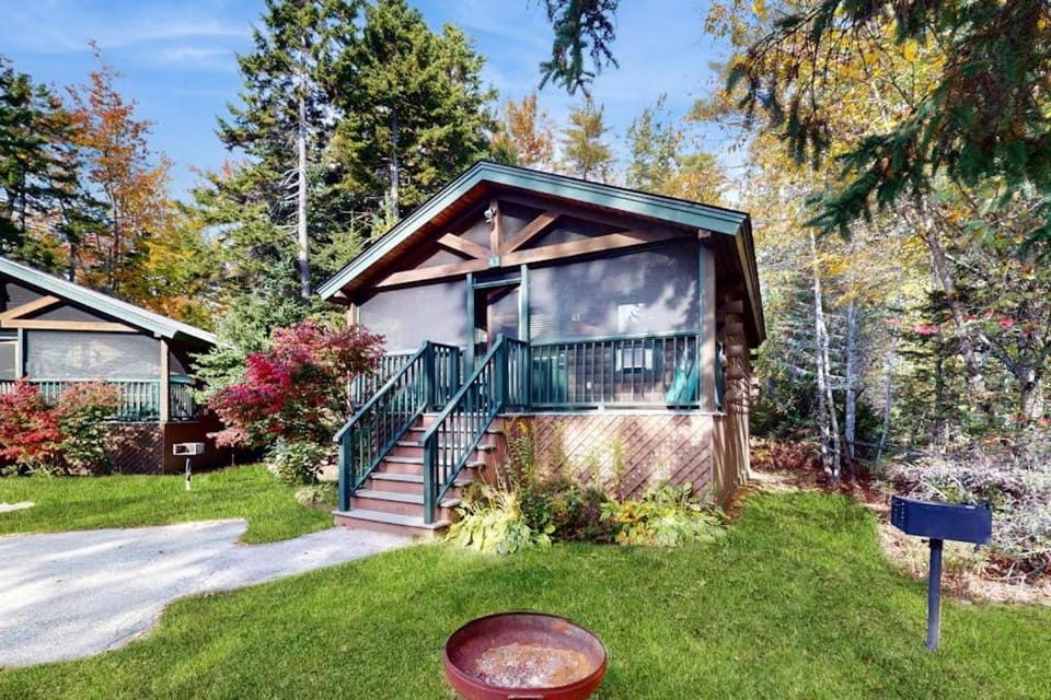 Property building, Spring, Day, Garden