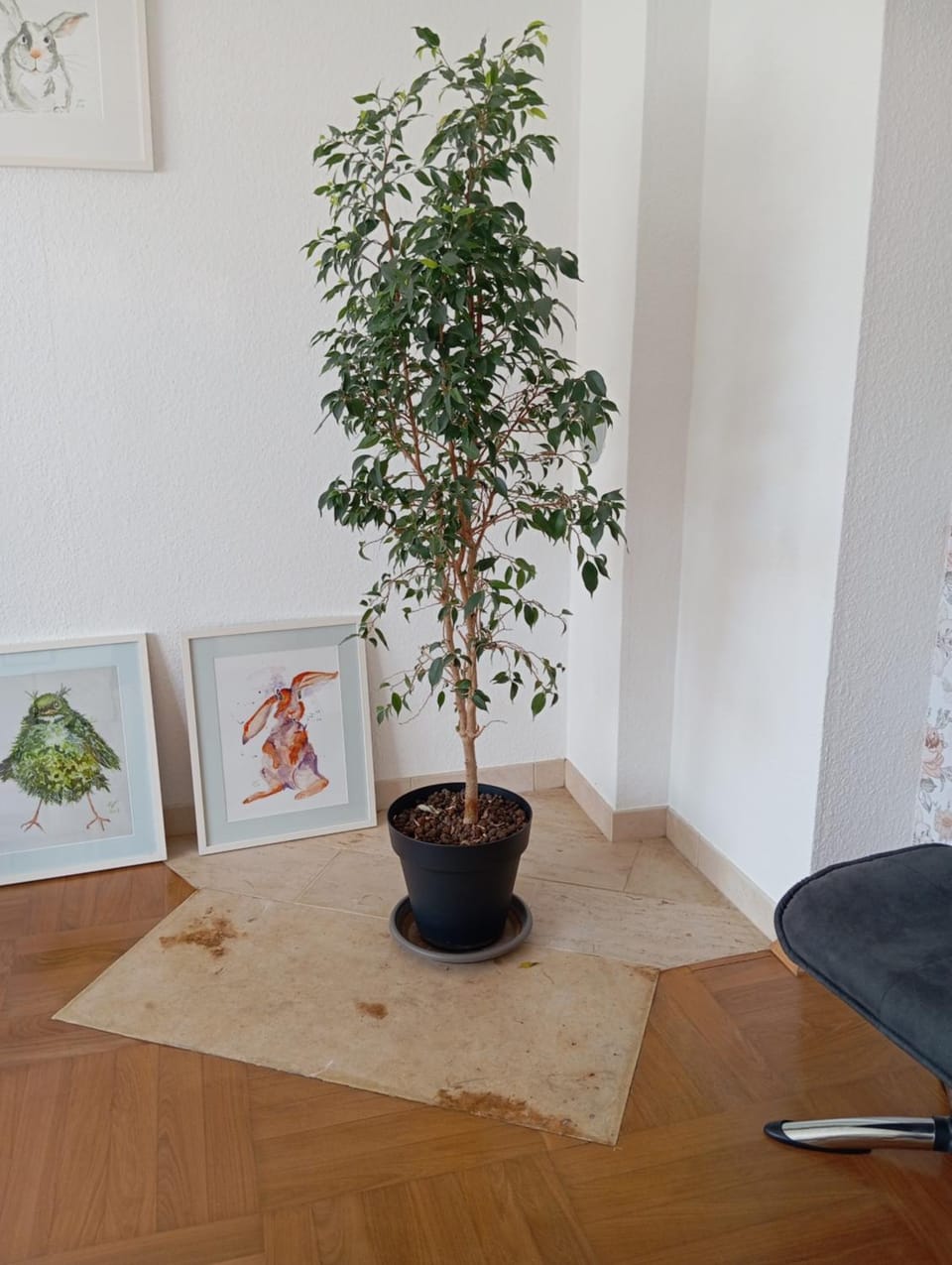 Wohnung im Grünen in Messenähe Apartment in Krefeld